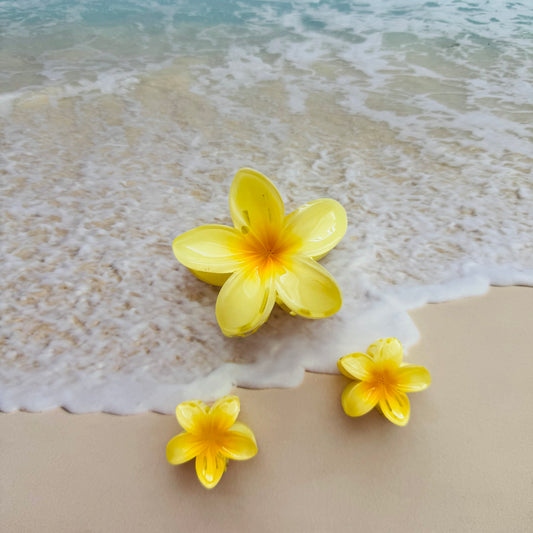 HAIR CLIPS HAWAIIAN SET OF 3